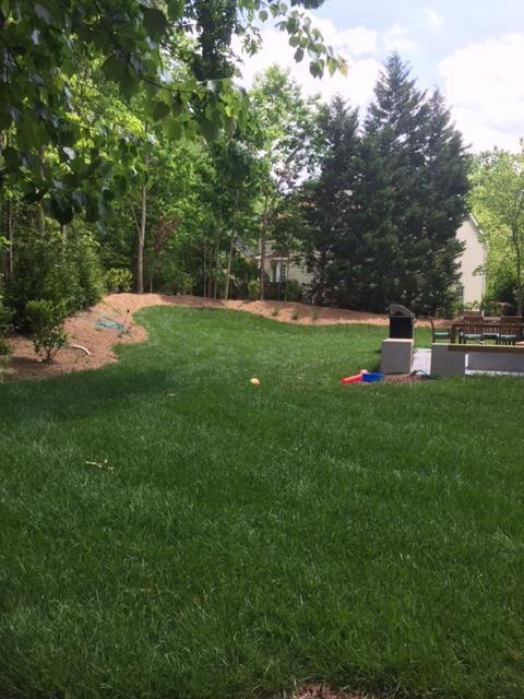 Backyard Remodeling