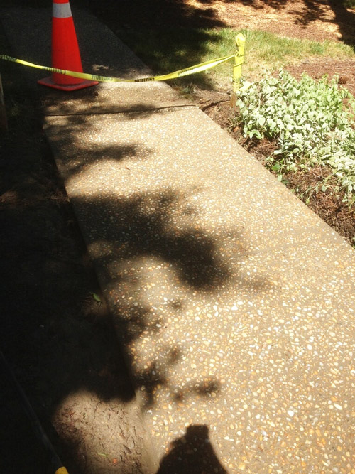 Decorative Concrete Repair