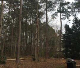 Backyard Remodeling and Grading 1
