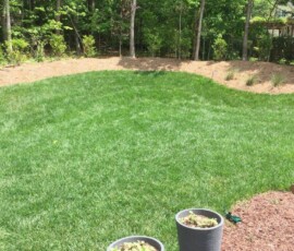 Backyard Renovation Cary 2