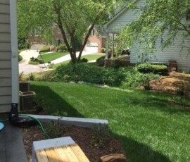 Backyard Renovation Cary 5
