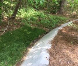 Backyard Renovation Cary 6