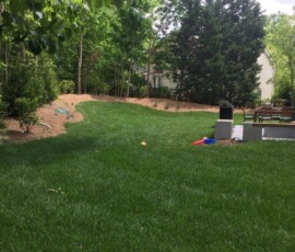 Backyard Renovation Cary 7