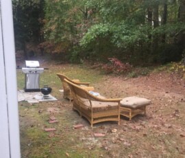 Backyard Tree Removal 1
