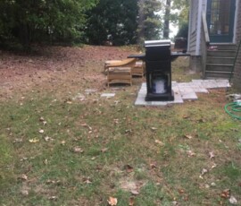 Backyard Tree Removal 2