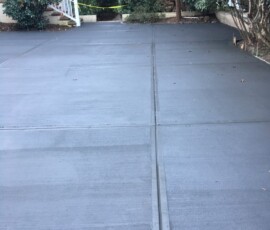 Walkway and Driveway Replacement 5